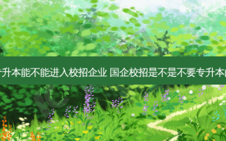 专升本能不能进入校招企业 国企校招是不是不要专升本的