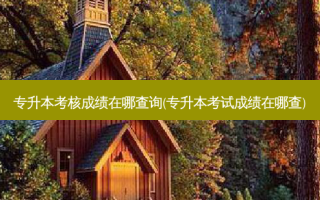 专升本考核成绩在哪查询(专升本考试成绩在哪查)