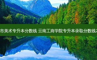 昆明市美术专升本分数线 云南工商学院专升本录取分数线2022