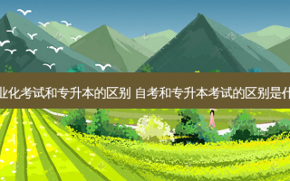 职业化考试和专升本的区别 自考和专升本考试的区别是什么