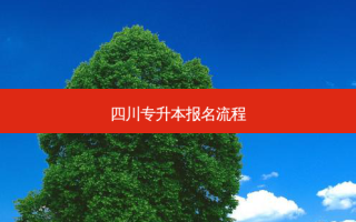四川专升本报名流程