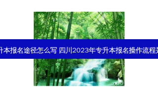 四川专升本报名途径怎么写 四川2023年专升本报名操作流程是怎样的