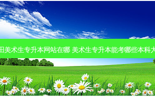 莆田美术生专升本网站在哪 美术生专升本能考哪些本科大学