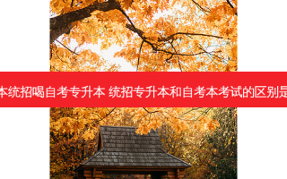 专升本统招喝自考专升本 统招专升本和自考本考试的区别是什么