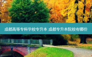 成都高等专科学校专升本 成都专升本院校有哪些