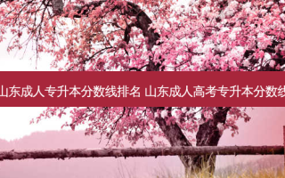 山东成人专升本分数线排名 山东成人高考专升本分数线