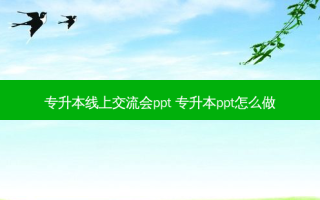 专升本线上交流会ppt 专升本ppt怎么做