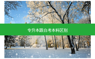 专升本跟自考本科区别