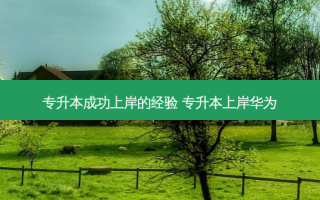 专升本成功上岸的经验 专升本上岸华为
