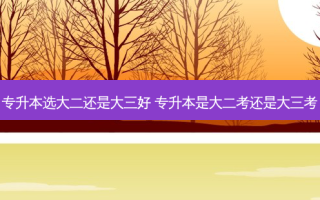 专升本选大二还是大三好 专升本是大二考还是大三考