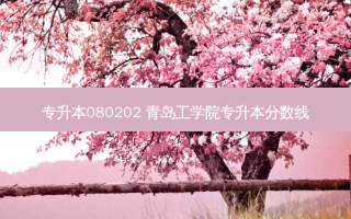 专升本080202 青岛工学院专升本分数线