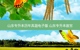山东专升本历年真题电子版 山东专升本故宫
