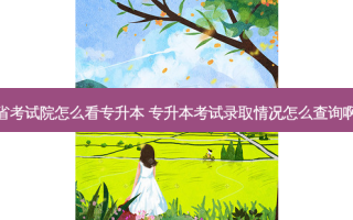 省考试院怎么看专升本 专升本考试录取情况怎么查询啊