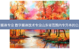 山东省专升本数字媒体专业 数字媒体技术专业山东省范围内专升本的公办二本院校有哪些