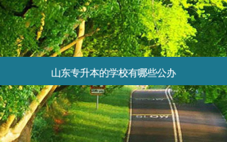 山东专升本的学校有哪些公办
