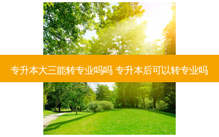 专升本大三能转专业吗吗 专升本后可以转专业吗