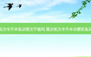 拓为专升本集训要交平板吗 重庆拓为专升本在哪里集训