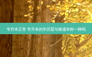 专升本正常 专升本的学历是与普通本科一样吗