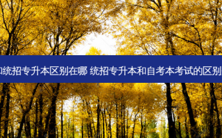 自考和统招专升本区别在哪 统招专升本和自考本考试的区别是什么