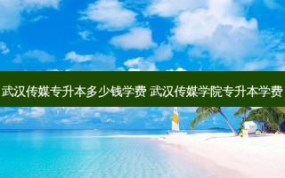 武汉传媒专升本多少钱学费 武汉传媒学院专升本学费