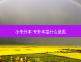 小专升本 专升本是什么意思