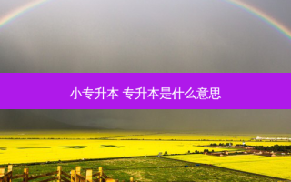 小专升本 专升本是什么意思
