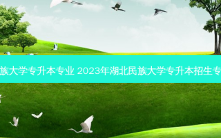 湖北各民族大学专升本专业 2023年湖北民族大学专升本招生专业对照表