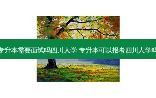 专升本需要面试吗四川大学 专升本可以报考四川大学吗