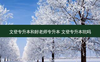 文登专升本和好老师专升本 文登专升本坑吗