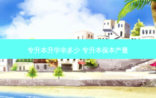 专升本升学率多少 专升本保本产量