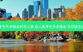 成考专升本报名时怎么填 成人高考专升本报名,学历该怎么填