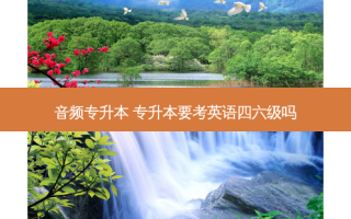 音频专升本 专升本要考英语四六级吗