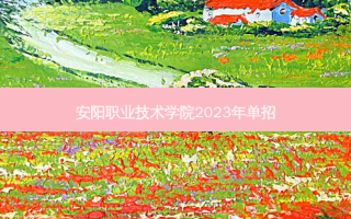安阳职业技术学院2023年单招