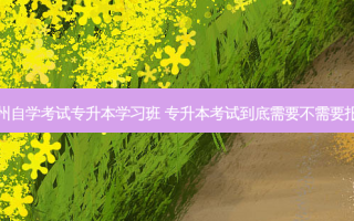 广州自学考试专升本学习班 专升本考试到底需要不需要报班