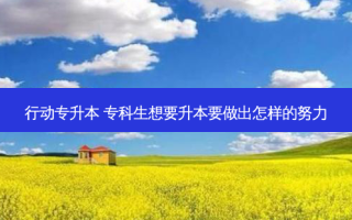 行动专升本 专科生想要升本要做出怎样的努力