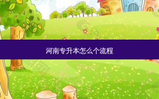 河南专升本怎么个流程