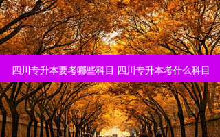 四川专升本要考哪些科目 四川专升本考什么科目