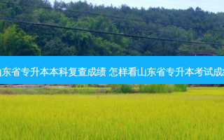 山东省专升本本科复查成绩 怎样看山东省专升本考试成绩