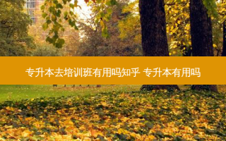 专升本去培训班有用吗知乎 专升本有用吗