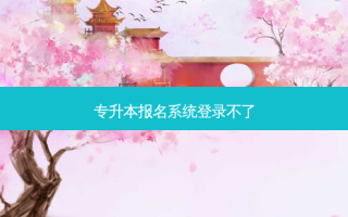 专升本报名系统登录不了