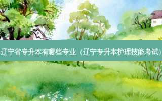 辽宁省专升本有哪些专业（辽宁专升本护理技能考试）