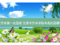 甘肃专升本之一名是谁 甘肃专升本录取率高的是哪个学校
