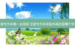 甘肃专升本之一名是谁 甘肃专升本录取率高的是哪个学校