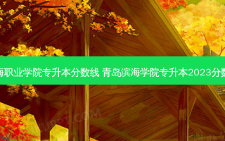 滨海职业学院专升本分数线 青岛滨海学院专升本2023分数线