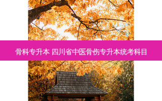 骨科专升本 四川省中医骨伤专升本统考科目