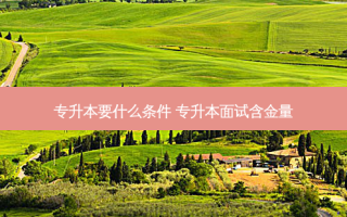 专升本要什么条件 专升本面试含金量