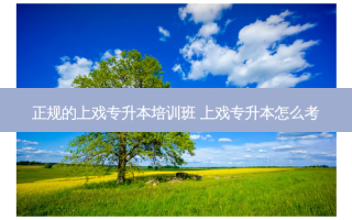 正规的上戏专升本培训班 上戏专升本怎么考