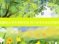 四川有哪些大专升本科学校 四川省专升本的学校有哪些