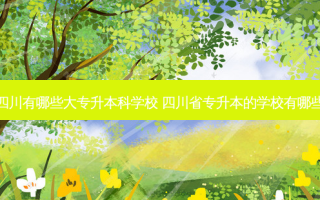 四川有哪些大专升本科学校 四川省专升本的学校有哪些