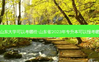 专升本山东大学可以考哪些 山东省2023年专升本可以报考哪些大学